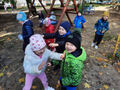 większy obrazek nr 1