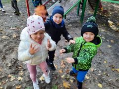 większy obrazek nr 2