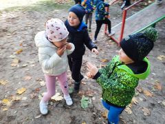 większy obrazek nr 3