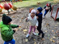 większy obrazek nr 4