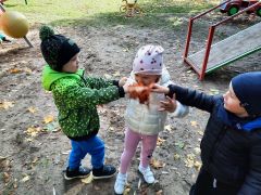 większy obrazek nr 5