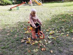 większy obrazek nr 9