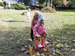 większy obrazek nr 10