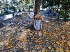 większy obrazek nr 12