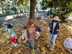 większy obrazek nr 14