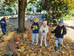 większy obrazek nr 15