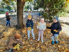 większy obrazek nr 16