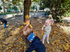 większy obrazek nr 17