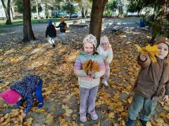 większy obrazek nr 19