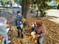 większy obrazek nr 23