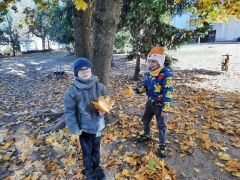 większy obrazek nr 24