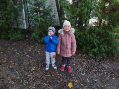 większy obrazek nr 27