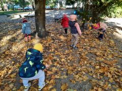 większy obrazek nr 35