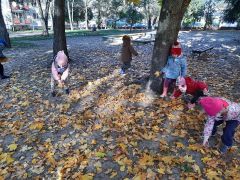 większy obrazek nr 36