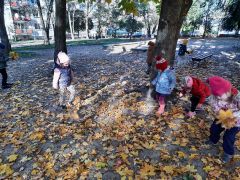 większy obrazek nr 37