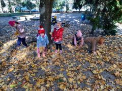 większy obrazek nr 39