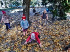 większy obrazek nr 40