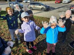 większy obrazek nr 3