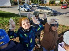 większy obrazek nr 4