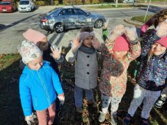 większy obrazek nr 5