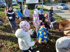 większy obrazek nr 7