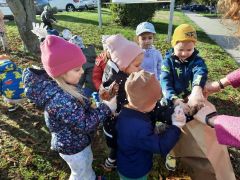 większy obrazek nr 8