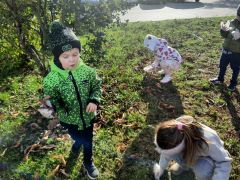 większy obrazek nr 9