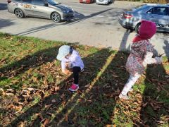 większy obrazek nr 10