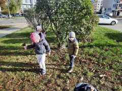 większy obrazek nr 11