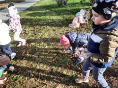 większy obrazek nr 12