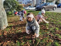 większy obrazek nr 13