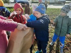 większy obrazek nr 14