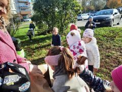 większy obrazek nr 15