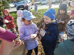 większy obrazek nr 16