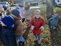 większy obrazek nr 17