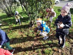 większy obrazek nr 18