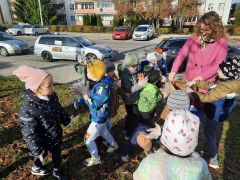 większy obrazek nr 20