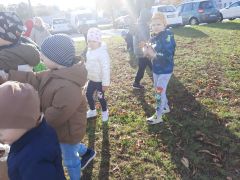 większy obrazek nr 21