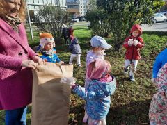 większy obrazek nr 22