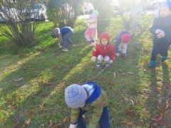 większy obrazek nr 23