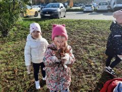 większy obrazek nr 25