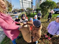 większy obrazek nr 26