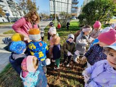 większy obrazek nr 28