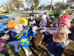 większy obrazek nr 29