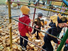 większy obrazek nr 1