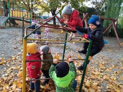 większy obrazek nr 2