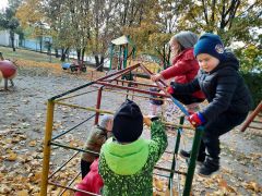 większy obrazek nr 3