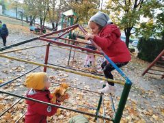 większy obrazek nr 5