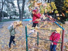 większy obrazek nr 6