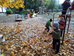 większy obrazek nr 7